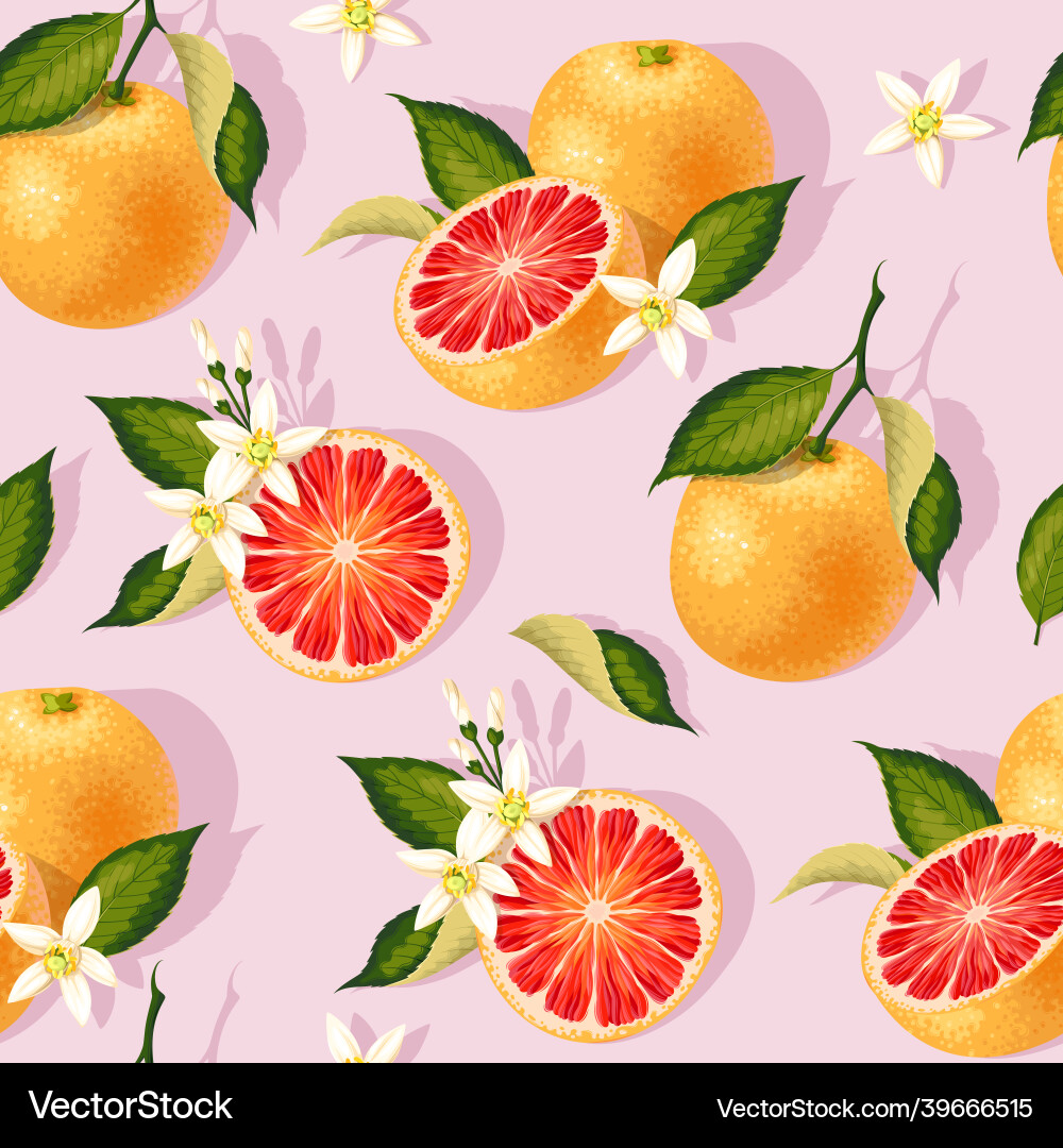 Grapefruit Slice Pattern vector image