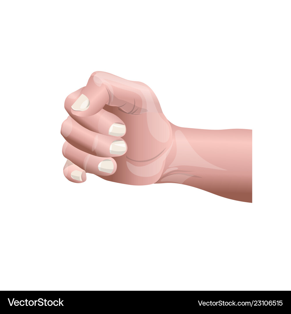 Human male hand vector image