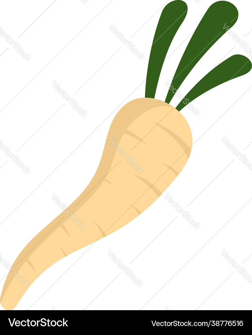 Culinary parsnip icon flat isolated vector image