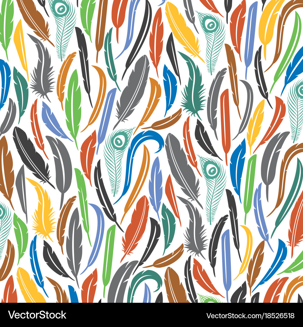 Background pattern with feathers icons vector image