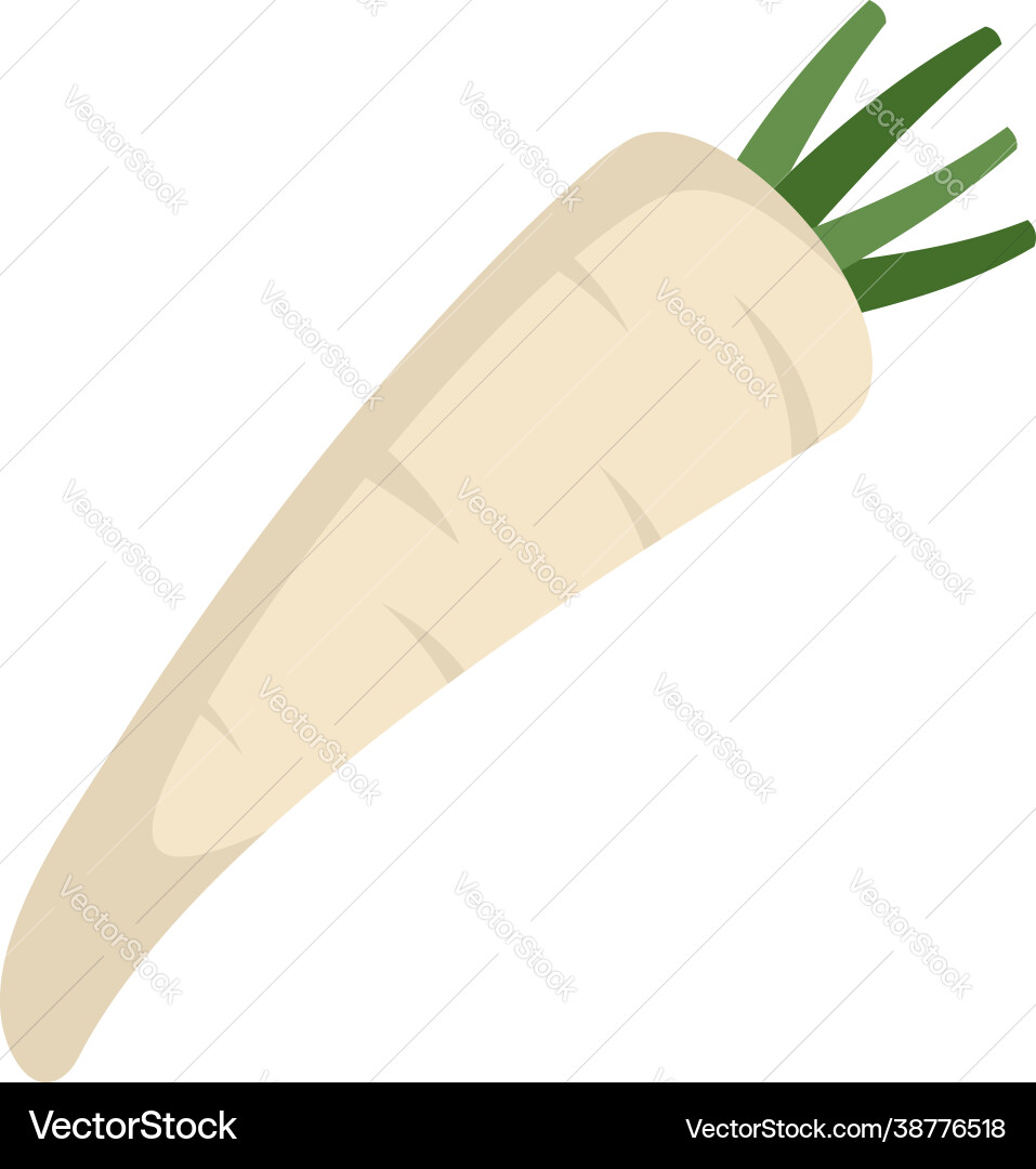 Ingredient parsnip icon flat isolated Ingredient parsnip icon flat isolated vector image