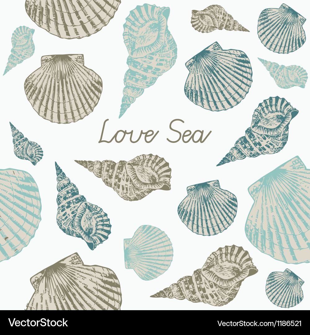 Seashell Seamless Pattern Vector Image