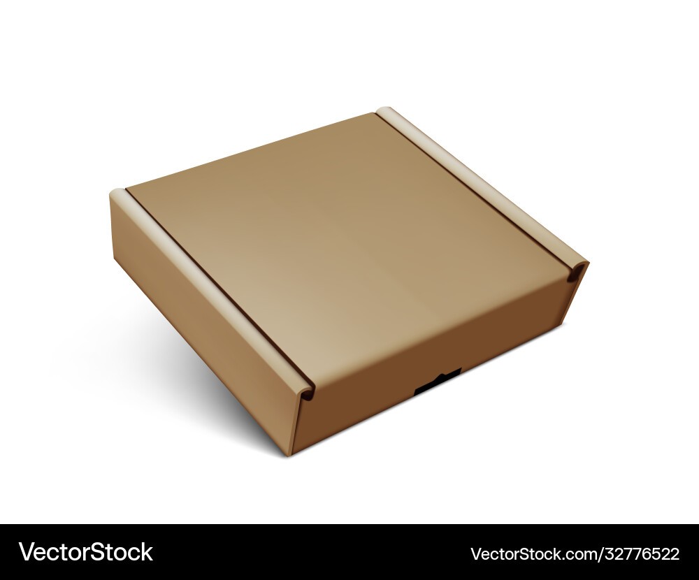 Empty cardboard box isolated on white background vector image