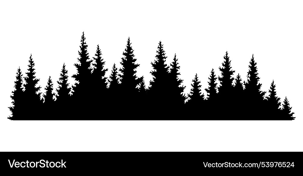 Fir trees silhouette coniferous spruce horizontal Vector Image