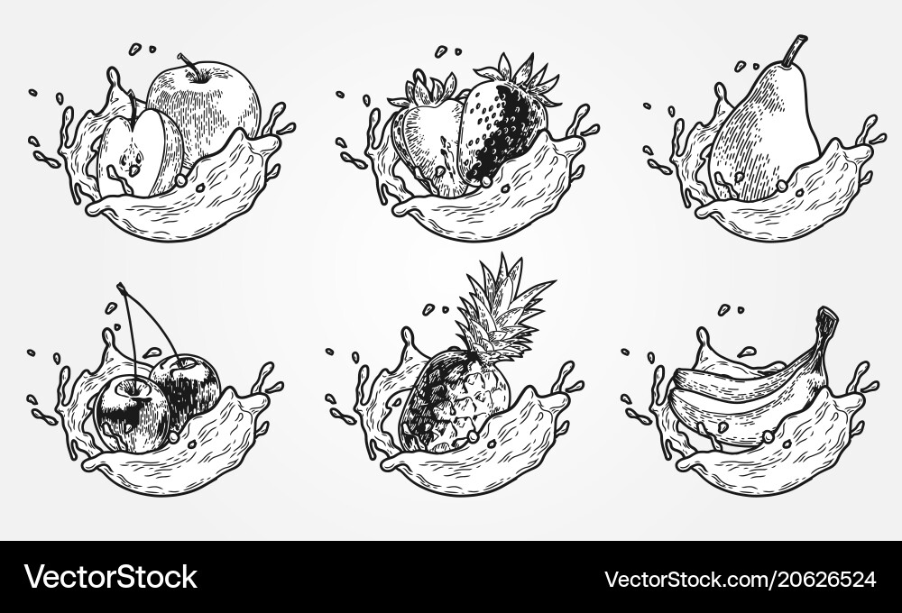 Fruits splash set Royalty Free Vector Image - VectorStock