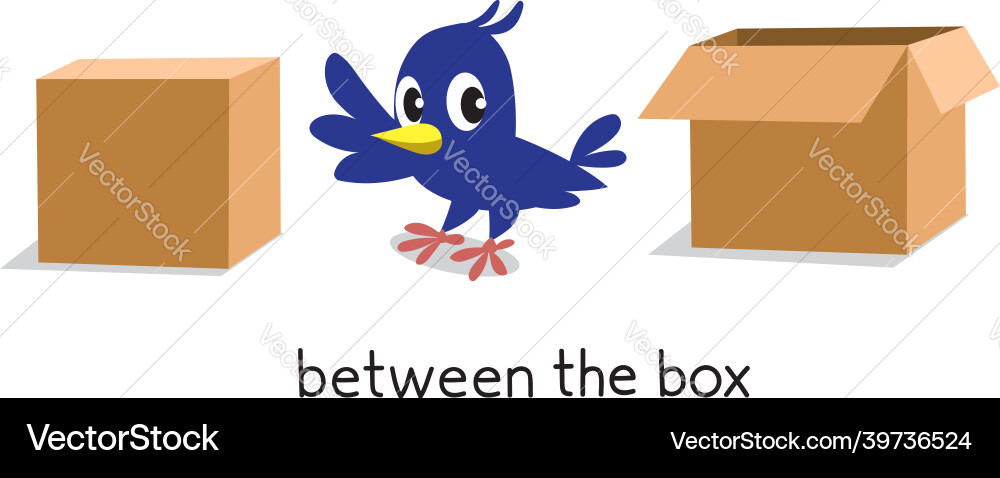 Preposition of place bird between two boxes Vector Image