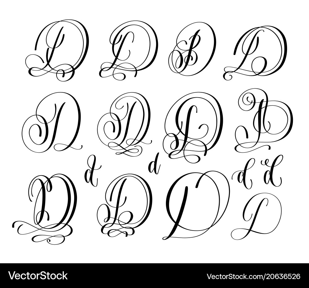 Elegant Script Lettering Set vector image