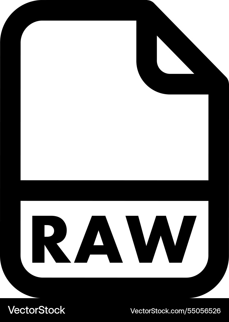 Raw file icon vector image