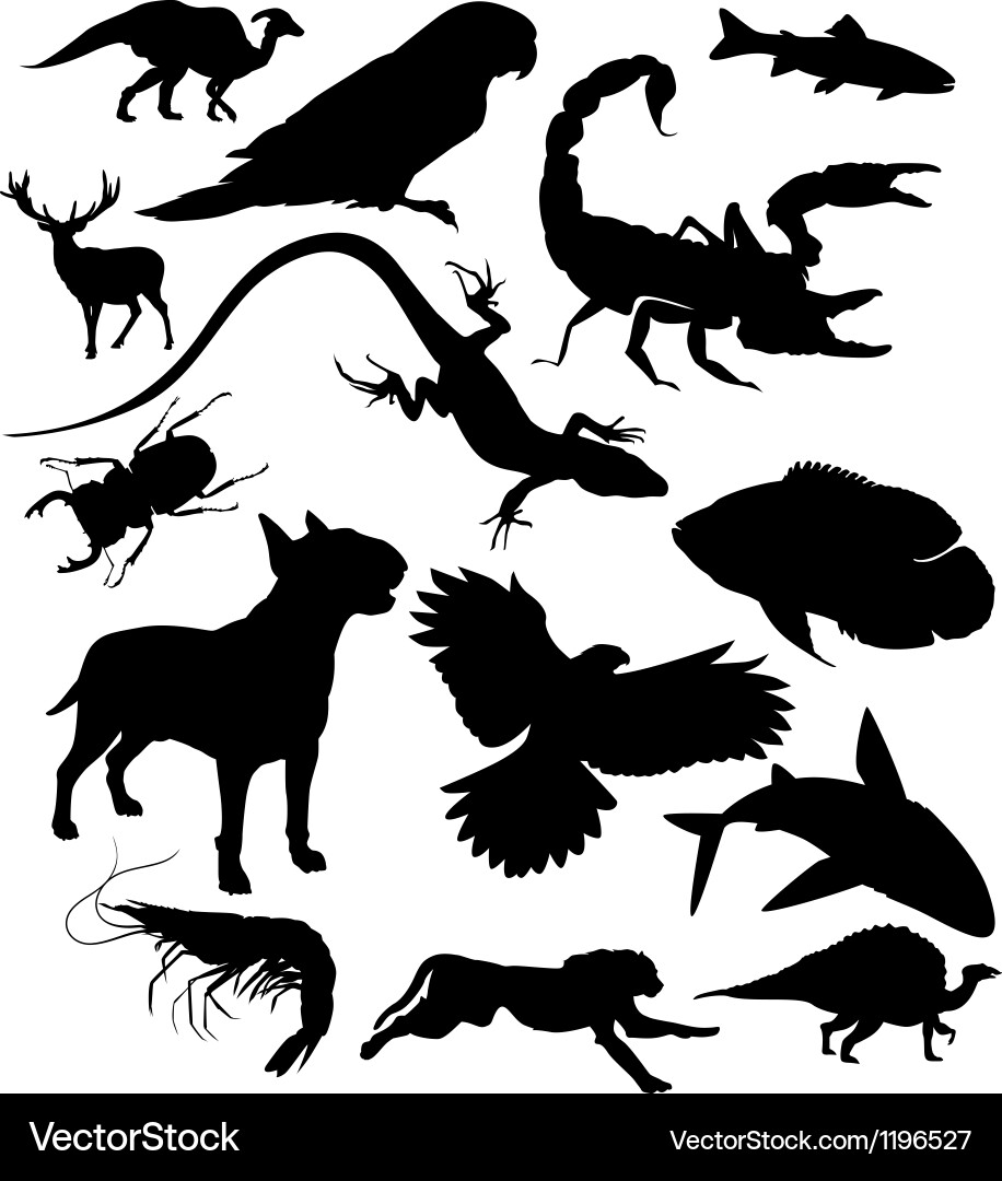 Animal Silhouettes - Wildlife Vector Image