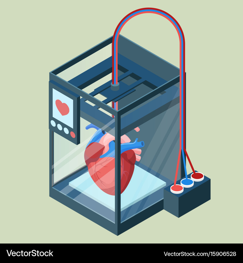 Creating artificial heart on three dimensional vector image