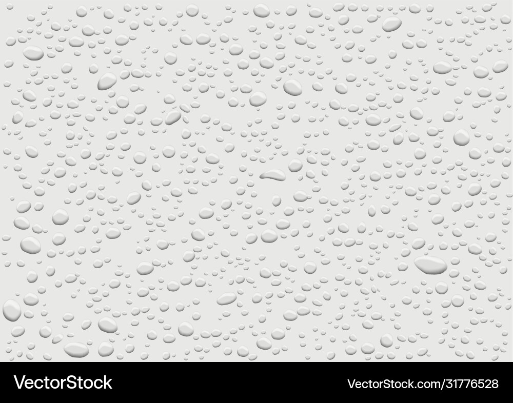 Water Drops on White Background vector image
