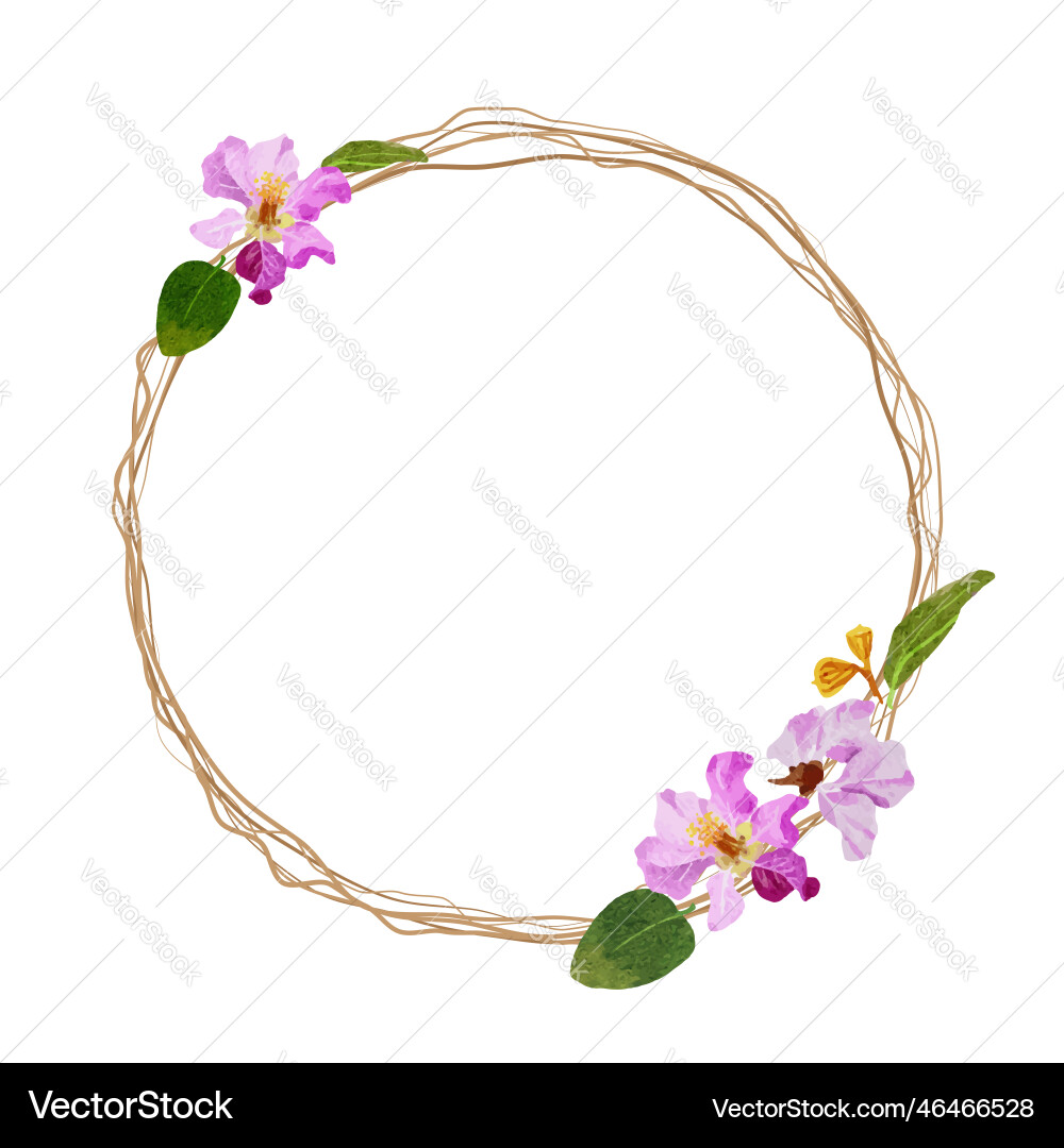 Watercolor purple queens flower bouquet wreath Watercolor purple queens flower bouquet wreath Vector Image