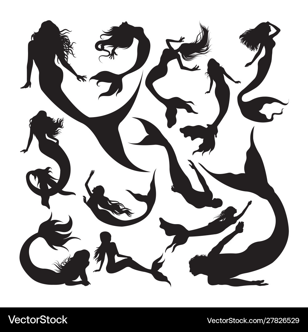 Mermaid silhouettes vector image