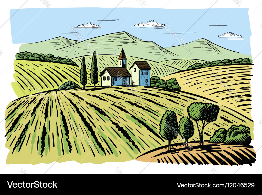 Rural Landscape with Fields – Royalty-Free Vector | VectorStock