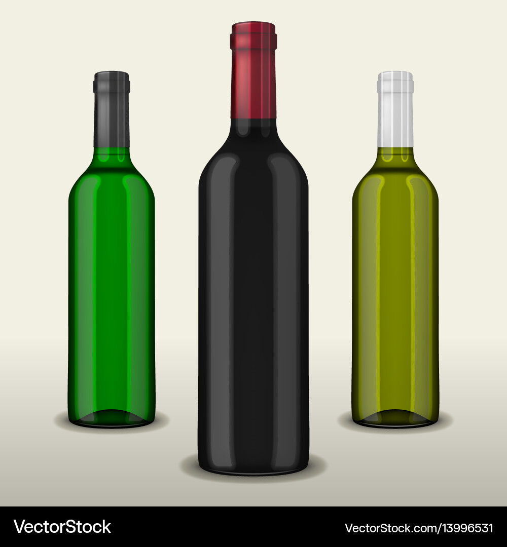 Set of three realistic wine bottles without vector image