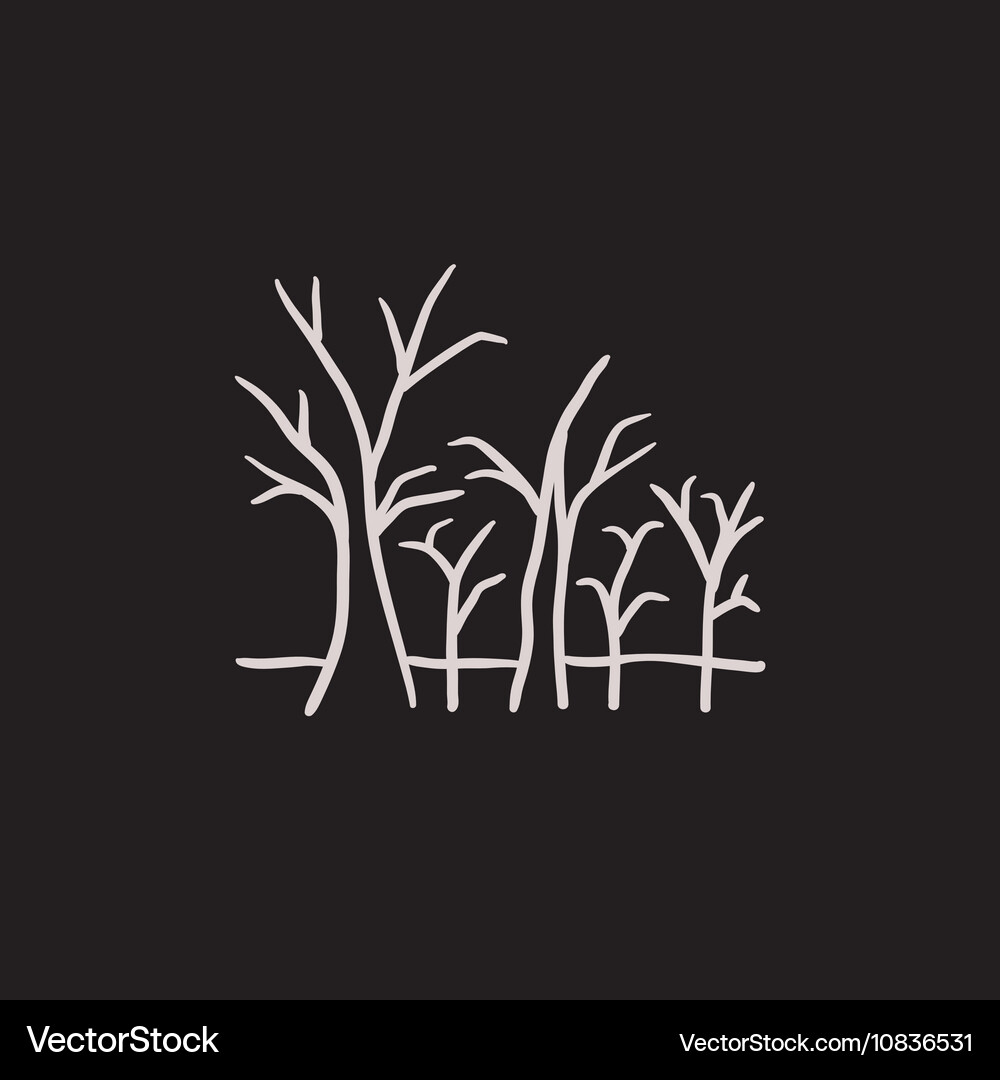 Tree with bare branches sketch icon Vector Image