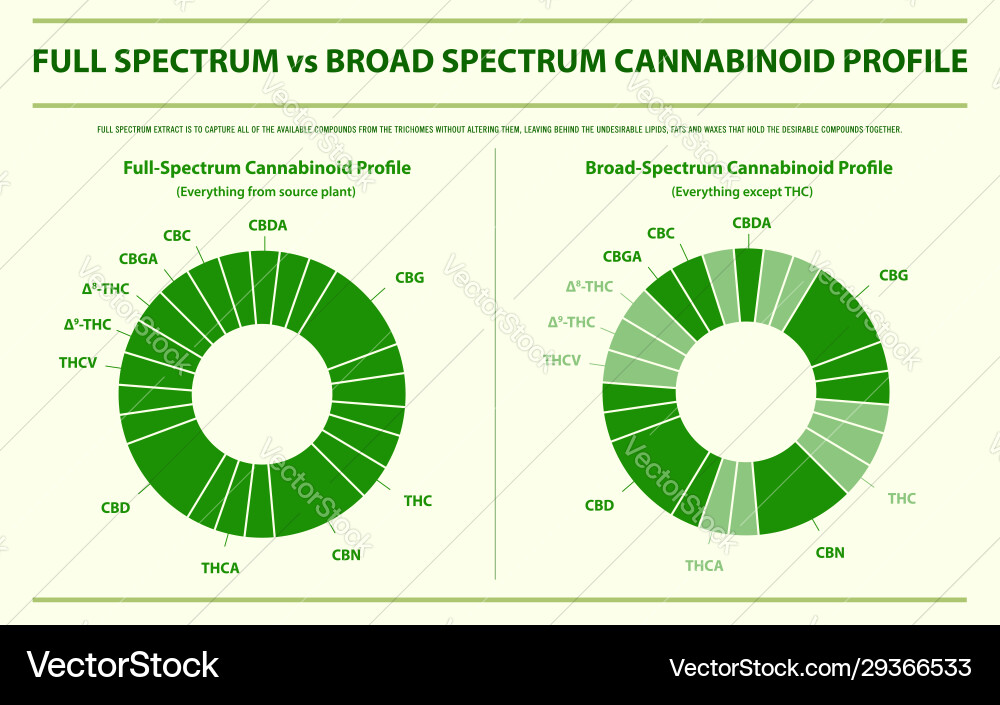 Full spectrum vs broad cannabinoid Full spectrum vs broad cannabinoid Vector Image