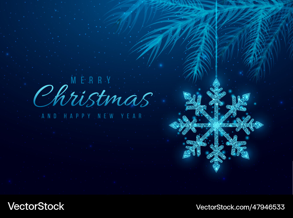 Wireframe snowflake and christmas tree branches vector image