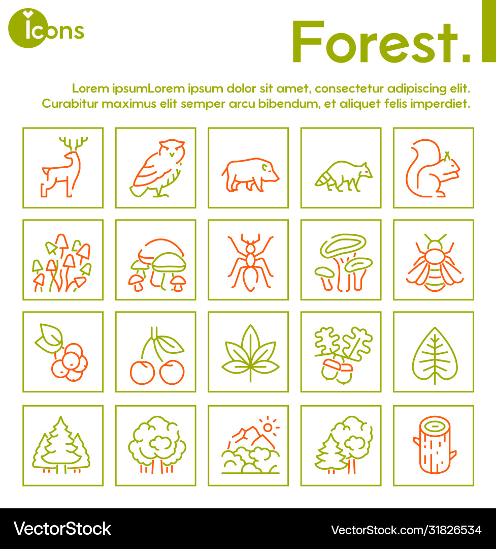 Color linear icon set forest objects Color linear icon set forest objects vector image