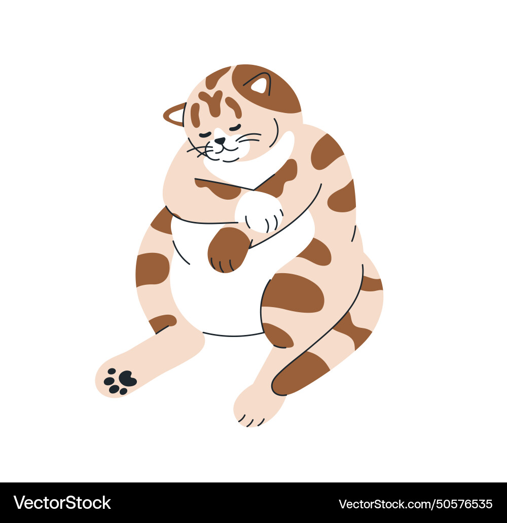 Cute cat asleep in funny sitting pose meme fat Cute cat asleep in funny sitting pose meme fat Vector Image