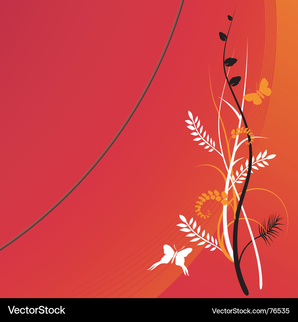Floral Butterfly Background Vector Image