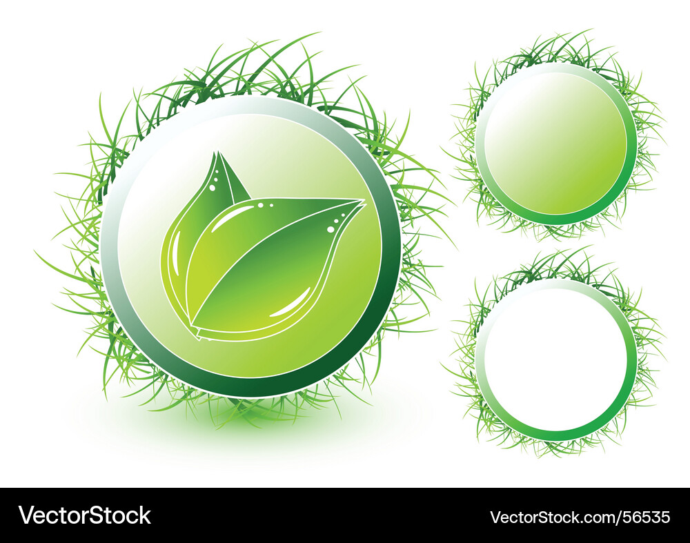Green Circular Elements Vector Image