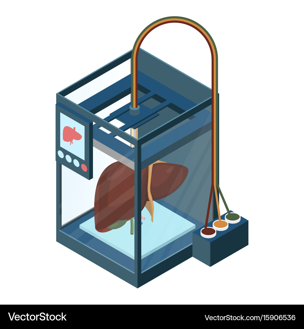Creating artificial liver on three dimensional vector image