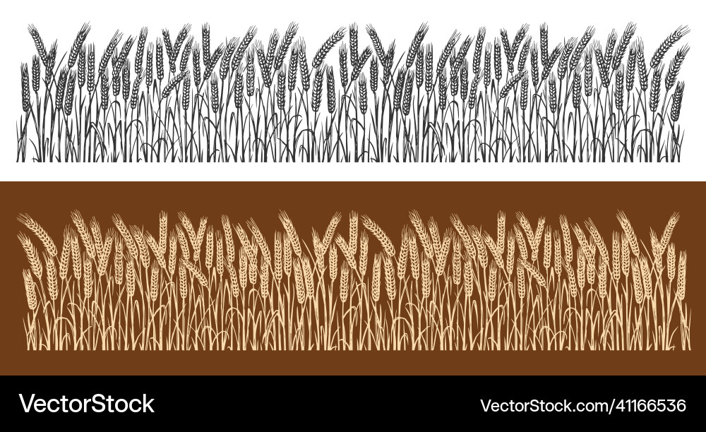 Ears of wheat horizontal seamless pattern sketch Ears of wheat horizontal seamless pattern sketch vector image