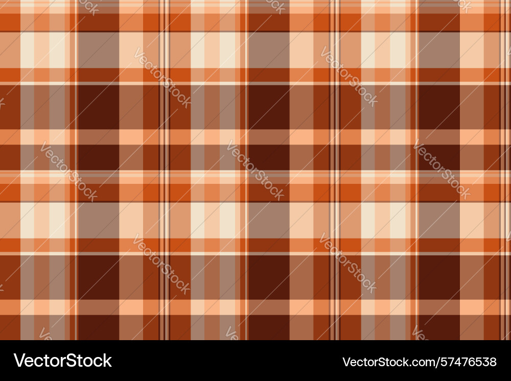 String seamless textile fabric customizable String seamless textile fabric customizable vector image