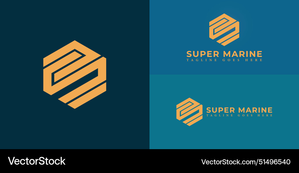 Abstract initial hexagon letters sm or ms logo Vector Image