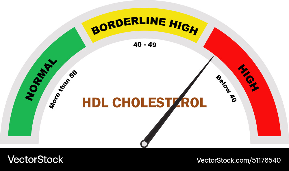 Hdl cholesterol high level test vector image