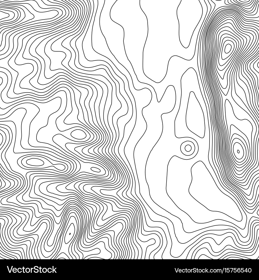 Topographic map background with space for copy vector image