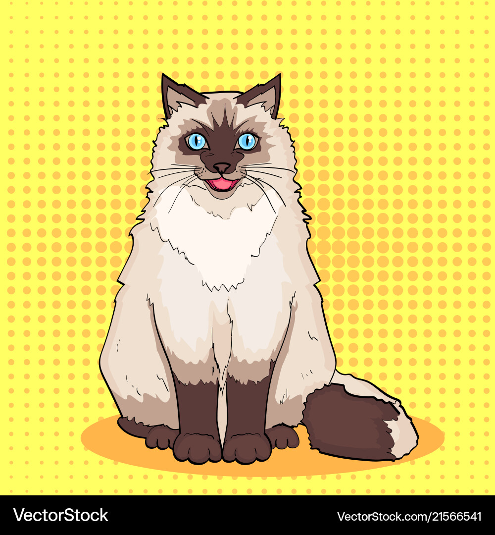 Pop art background orange pet siamese cat Pop art background orange pet siamese cat vector image
