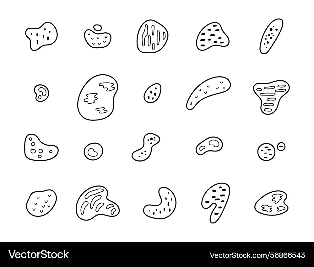 Abstract shape set with curved and different vector image