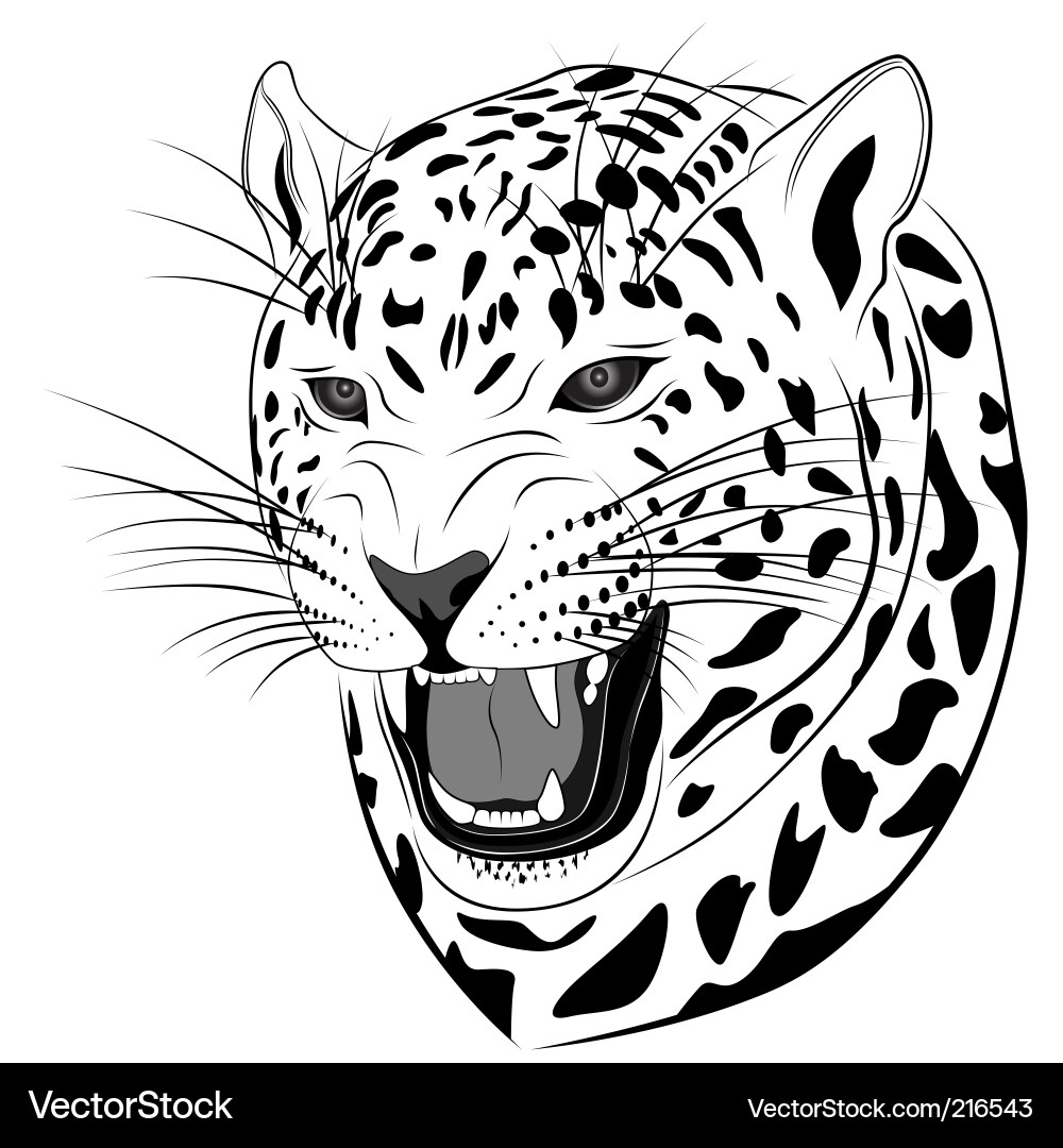 Leopard Portrait Vektorbild