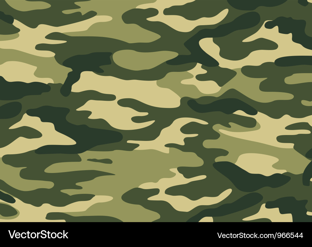 Army Camouflage Pattern vector image