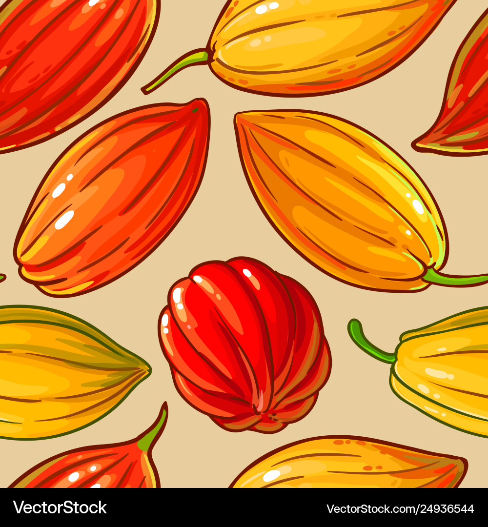Cocoa seeds pattern on color background Cocoa seeds pattern on color background vector image
