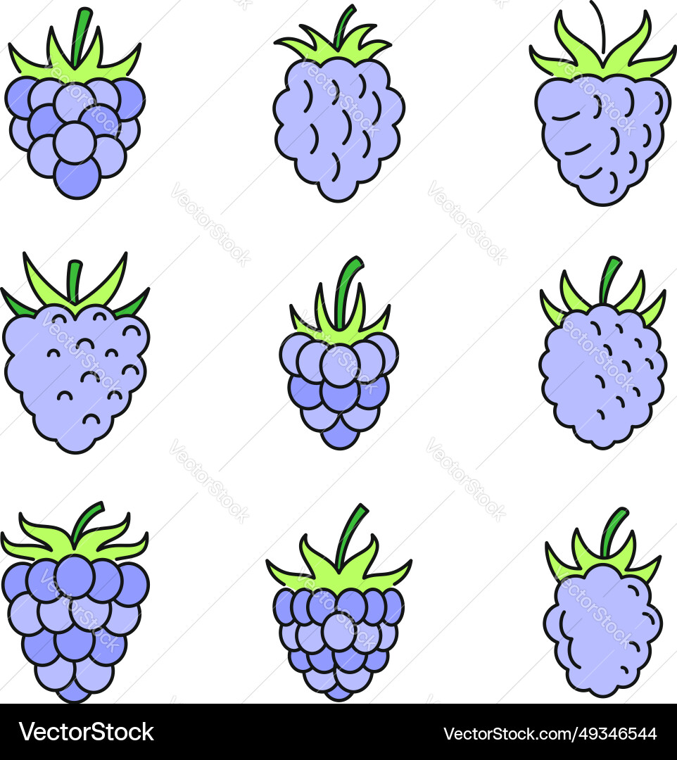 Fresh raspberry icons set color Fresh raspberry icons set color vector image