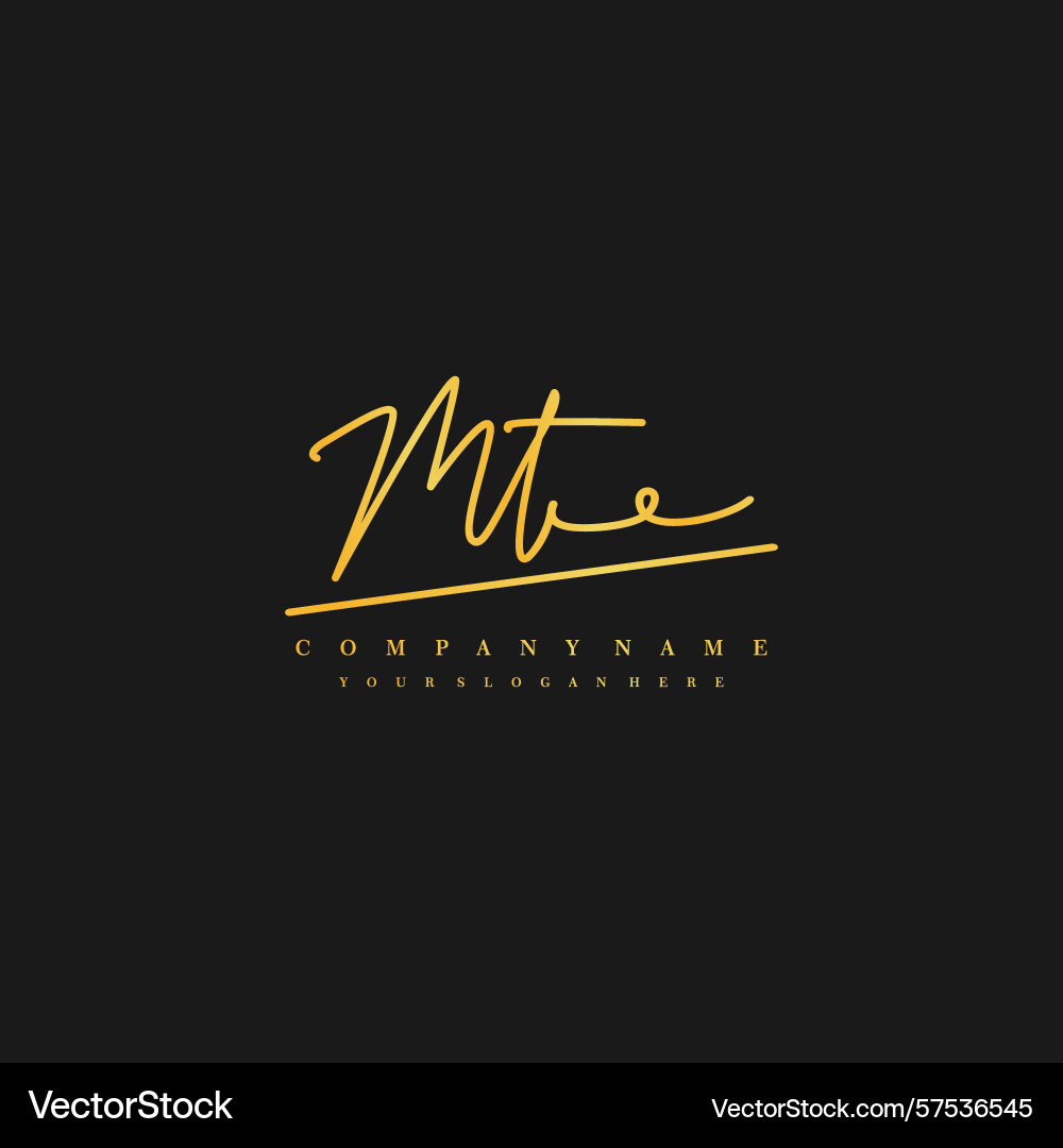 Signature style mt initial logos initials logo Vector Image