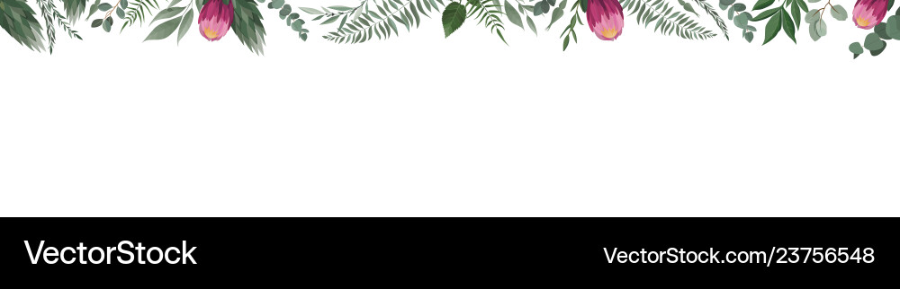 Horizontal botanical design banner pink vector image