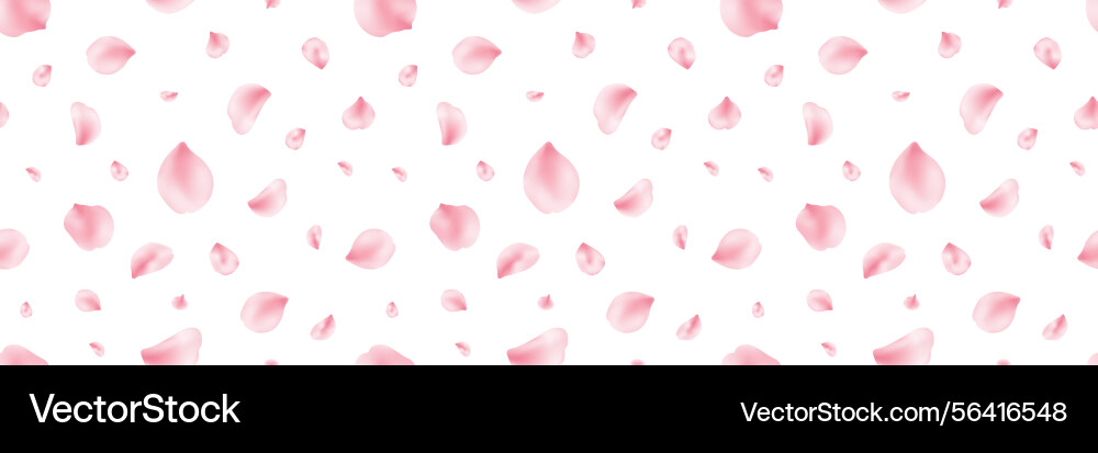 Japan flower long seamless pattern spring cherry Vector Image