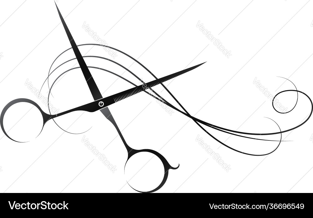 Elegant Hair Scissors & Curl Vector Image