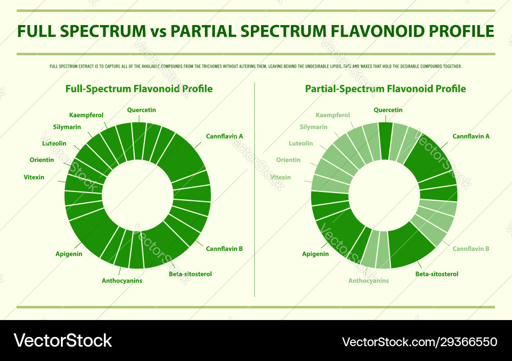 Full spectrum vs partial flavonoid Full spectrum vs partial flavonoid vector image