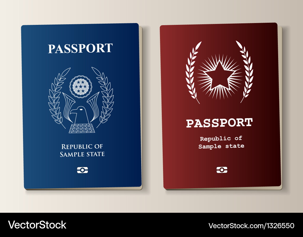 Passport Elements Collection vector image