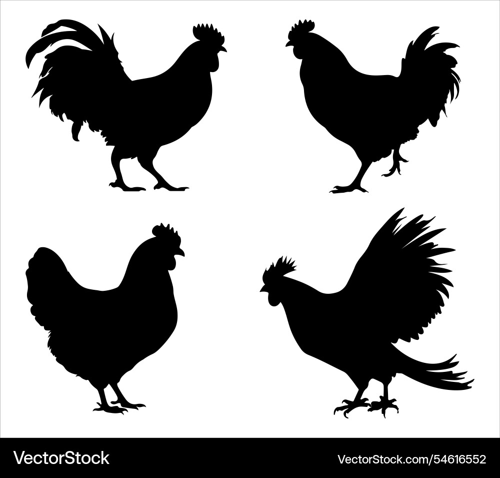 Silhouette Sammlung roosters hens Geflügelfarm Silhouette Sammlung roosters hens Geflügelfarm vektorbild