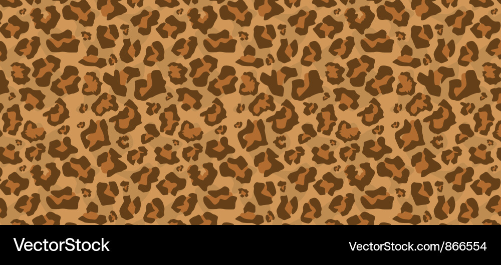 Complex Web Pattern vector image