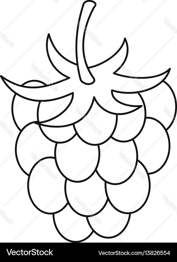 Raspberry icon outline style Vector Image