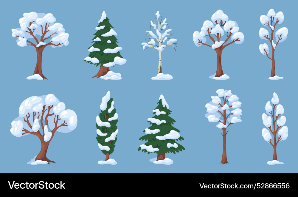 Trees with snow branches coniferous and deciduous Trees with snow branches coniferous and deciduous vector image