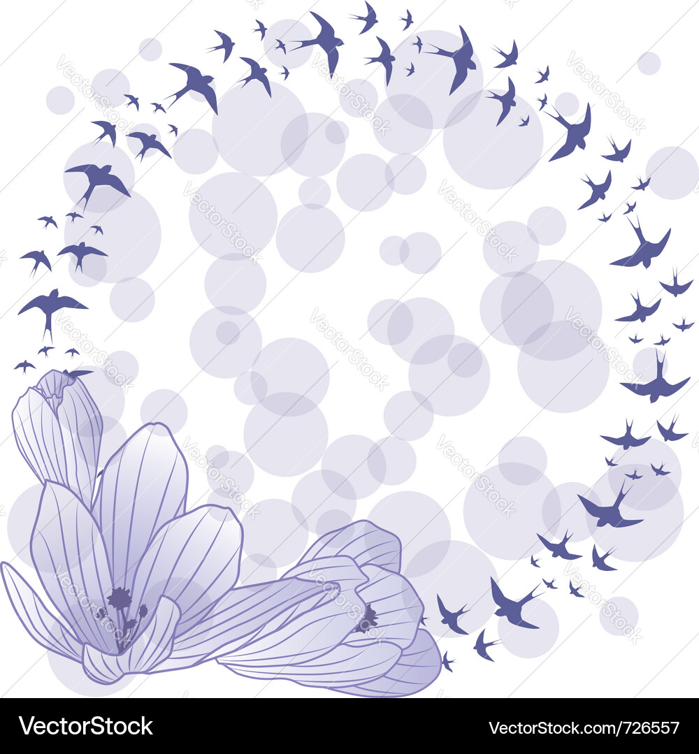 Crocus and swallow Vector Image