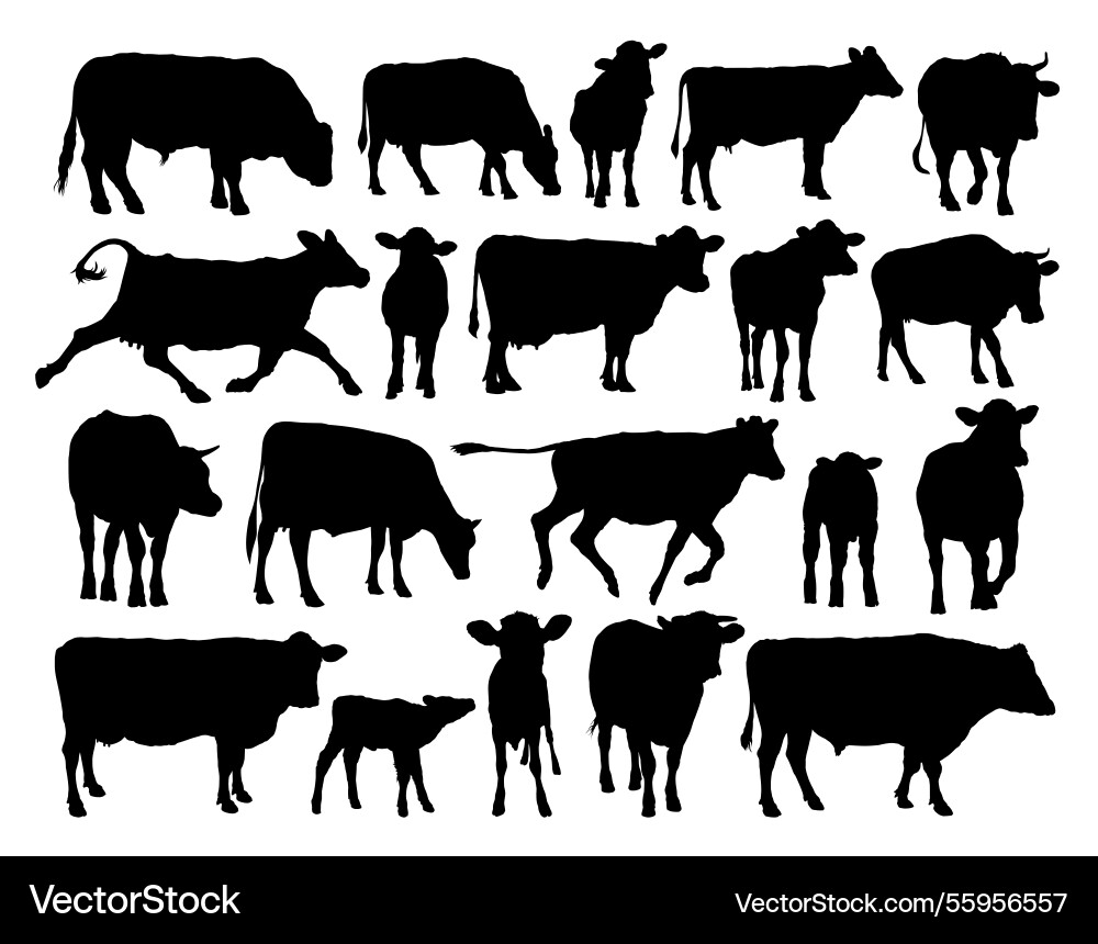 Set of cows and bulls silhouettes Vector Image